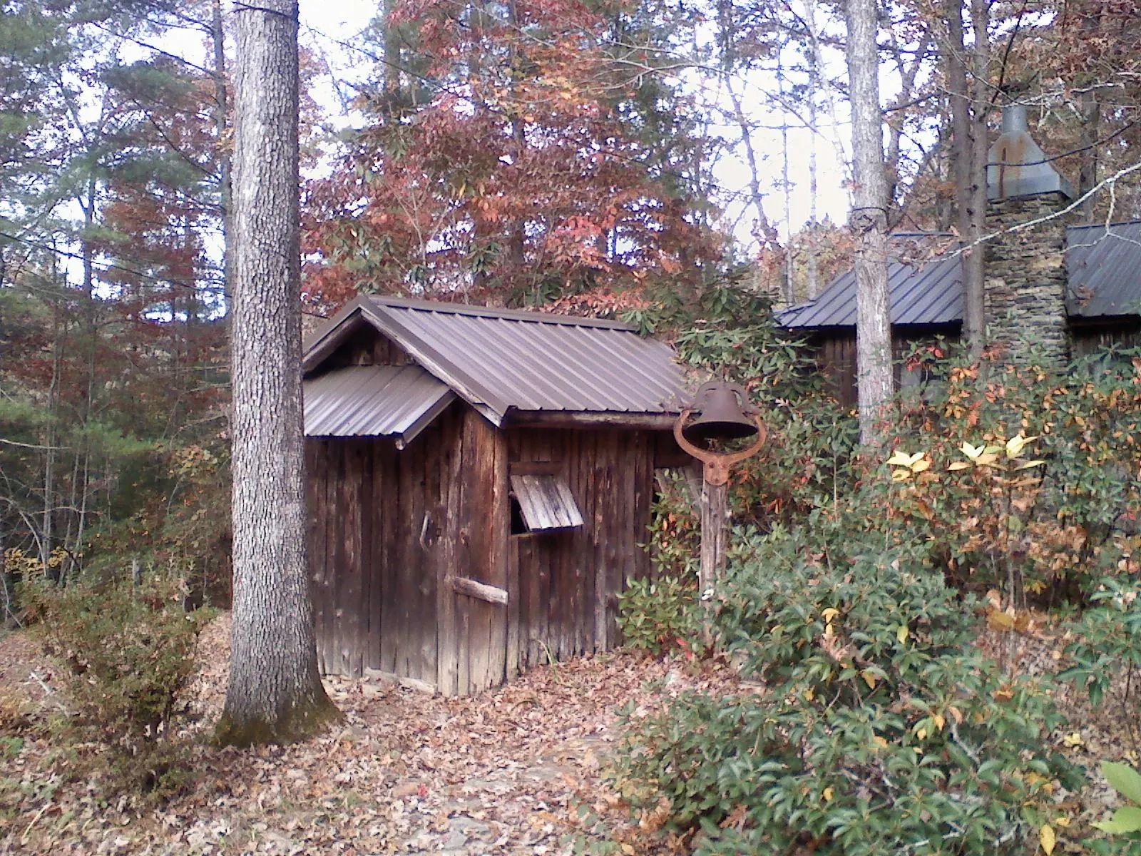 Small metal roof on a rough sawn shed in the woods in Ocean Shores