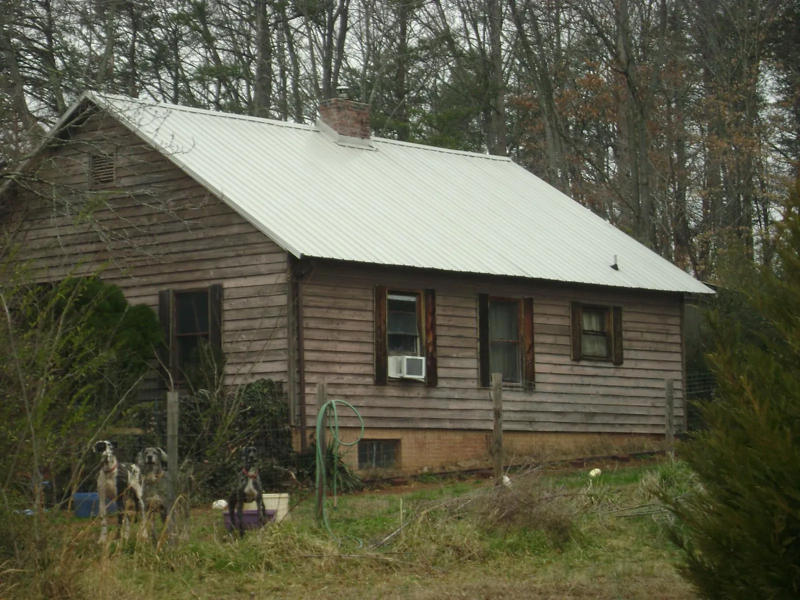 White metal roof on an old wood sided farmhouse, from a Metal Roof Installation job in Ocean Shores
